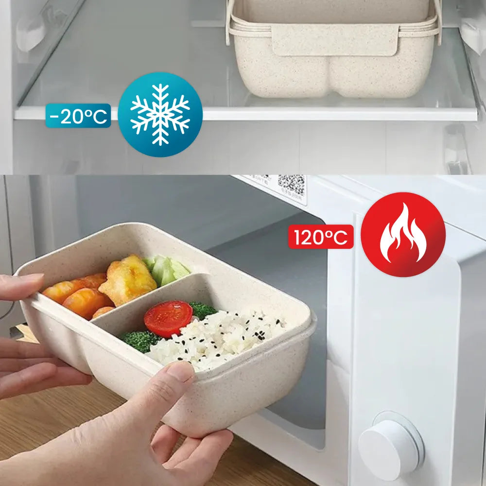 Lunchbox - perfect for on the go